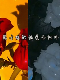 屬于你的偏愛(ài)和例外