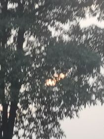 我的轩轩是神？