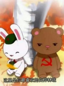 我與大毛的那些事