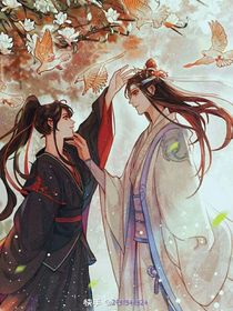 忘羡回到过去有弟弟妹妹接着写