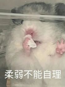 十方潭