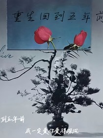 FW重生回到五年前
