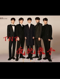TNT：疯批杀手