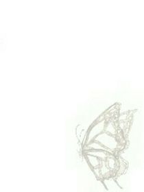 青吉海語