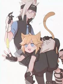 化猫症