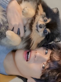 BTS：如果不是爱豆
