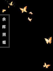 余晖照蝶-d611