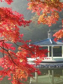 水滿金山