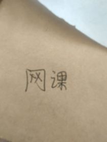 在家上网课的日子