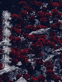 微风拂过野玫瑰