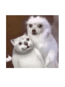 詭計多端的小鳳凰