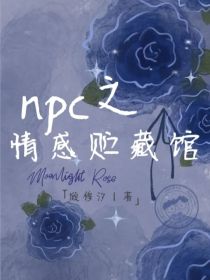 npc之情感贮藏馆