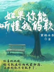 如果你能聽懂我的歌