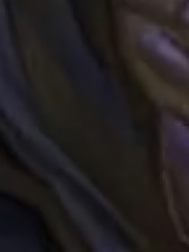 那就，算了吧