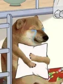 變成一只比格犬