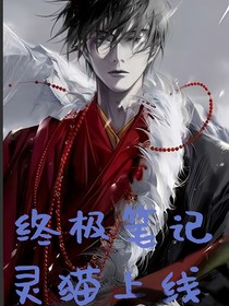 终极笔记：灵猫上线