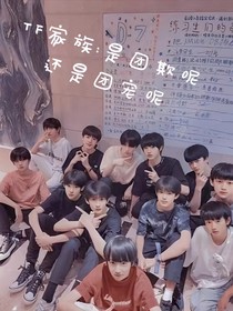 TF家族：是团宠呢还是团欺呢