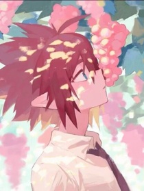 all安之花途