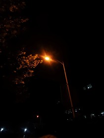 幸好，我赌对了