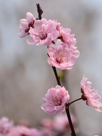 盛夏的秘密……