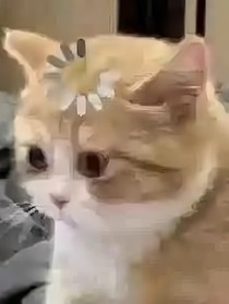 快穿黑心蓮：宿主她憐憫世人
