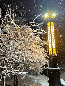 初雪相识