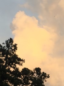 蝉鸣逐夏