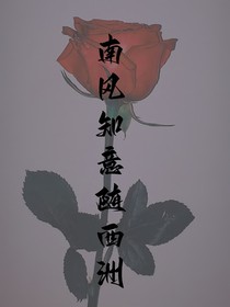 南风知意随西洲