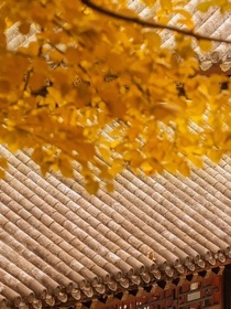 新還珠格格之長(zhǎng)相見