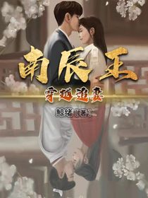 南辰王穿越追妻