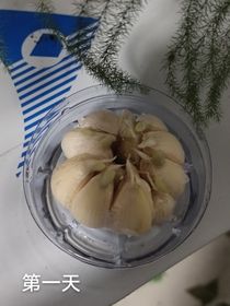 之所重我文渣我是一个大聪明