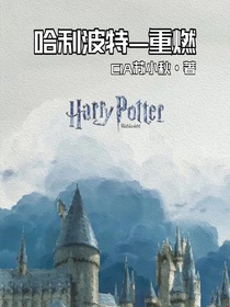 哈利波特——重燃-d798