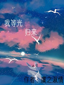 我等光归来