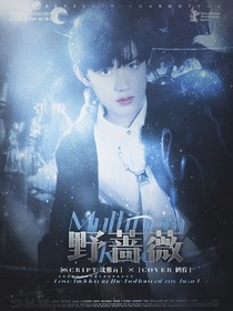 TF三代：野薔薇悖論