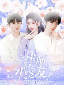 TNT：律师小女友