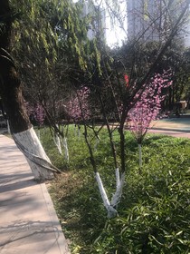 梅境路