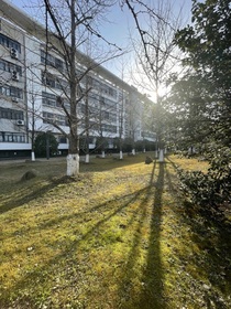 等你要系鞋带