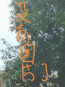 快穿：成为男主们的万人迷白月光