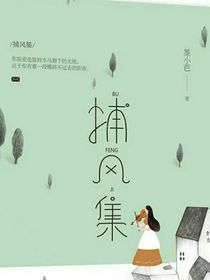 捕风集（改编版）