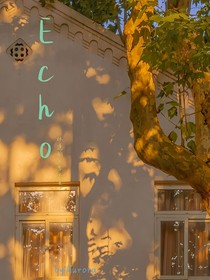 Echo——回响