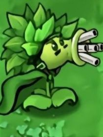 杂交植物小日常