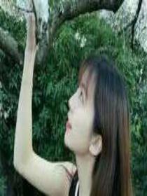 天使的秘密