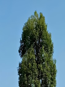 南有莫然，北負韶華。
