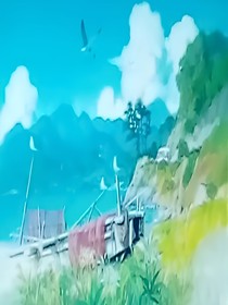 夏天回忆录