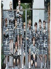 *exo*宠宠宠