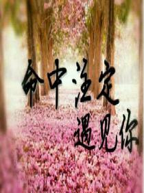 命中注定遇見你