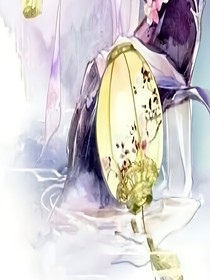 九重天之風(fēng)華燃盡