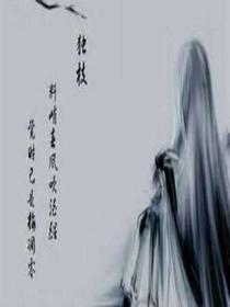 魂皇传奇
