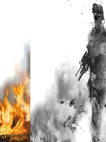 兵奇种