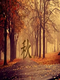 寂寥的日子